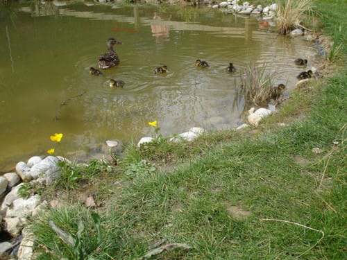 París con niños: el Jardín del Acueducto París con niños: el Jardín del Acueducto