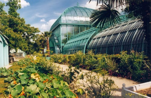 Serres d’Auteuil, viveros tropicales en París Serres d’Auteuil, viveros tropicales en París